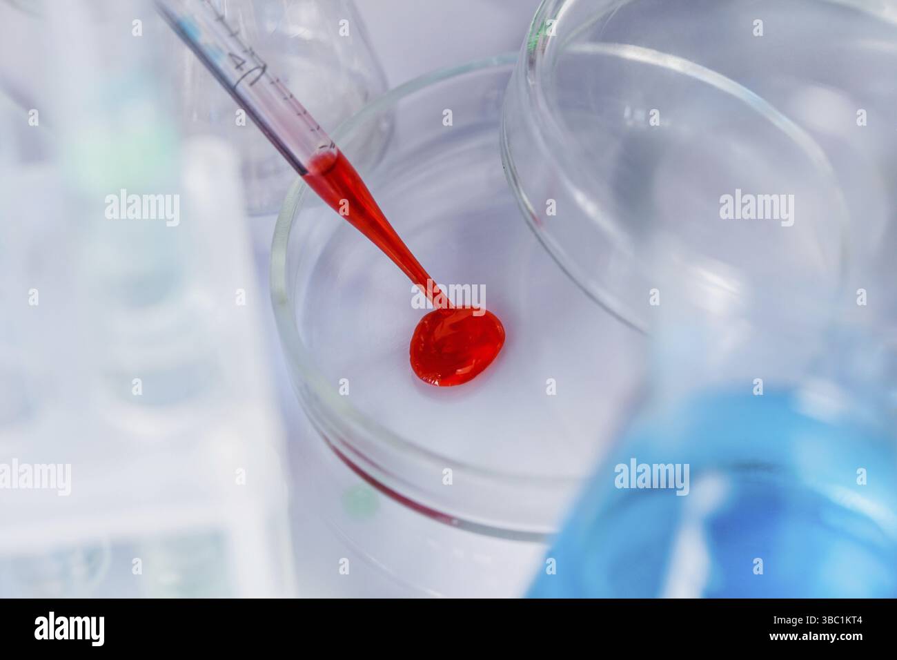 Scientist shows a diffusion in the Petri dish Stock Photo