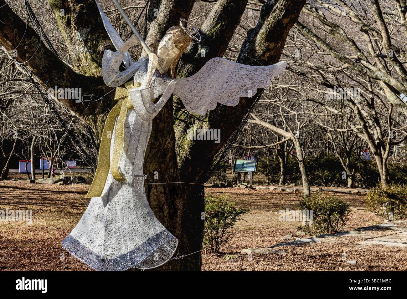 Sunchang-gun, South Korea. December 8, 2020: Christmas angle of wire and lights tied to tree at Naejangsa National Park Stock Photo
