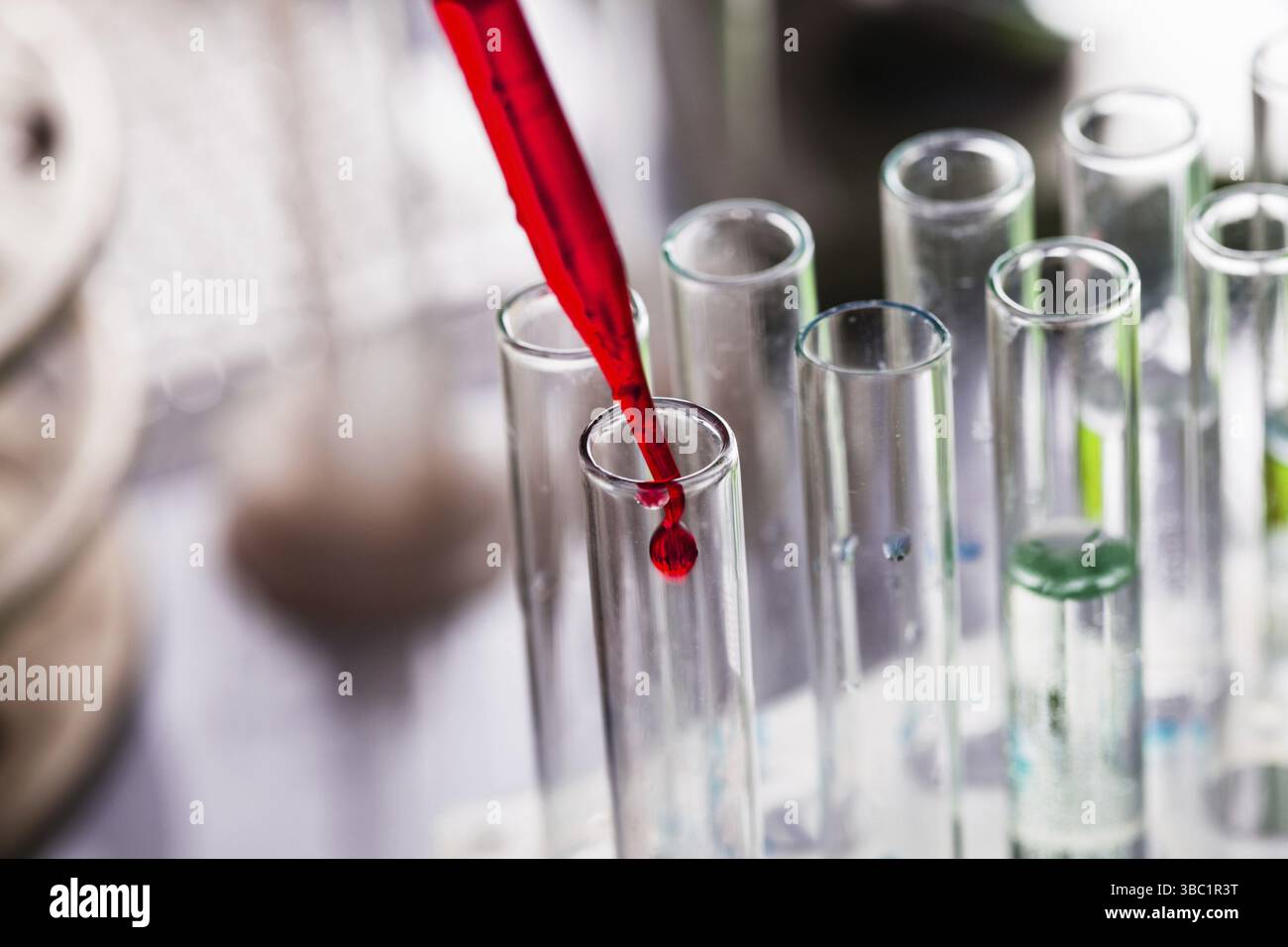 Scientist shows a diffusion in the Petri dish Stock Photo