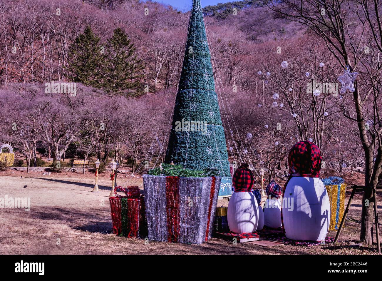 Sunchang-gun, South Korea. December 8, 2020: Christmas tree surrounded by gifts at Naejangsa National Park Stock Photo