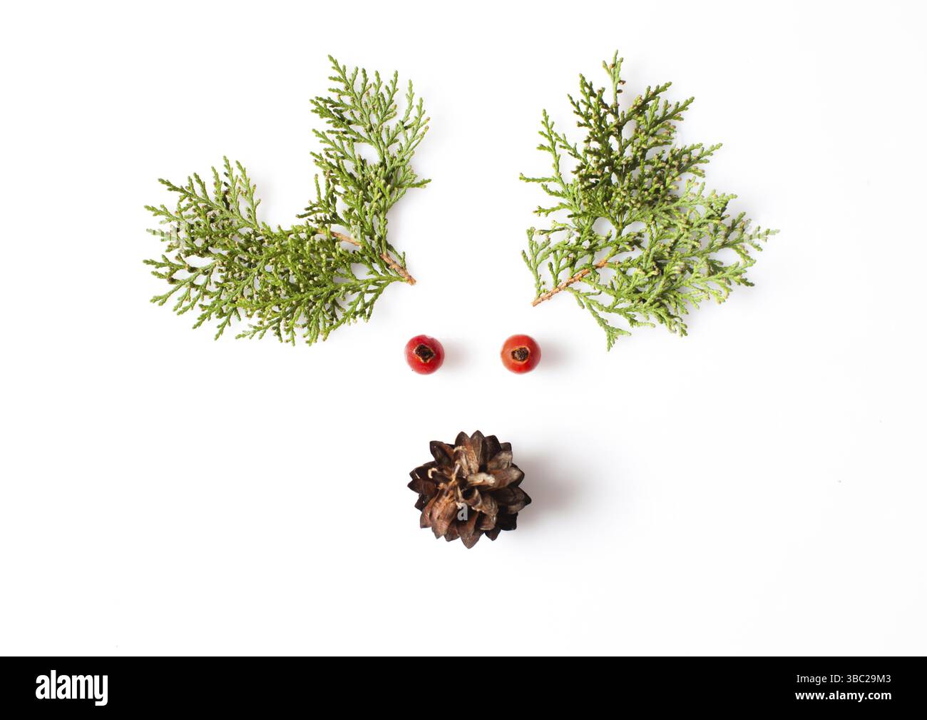 reindeer-face-from-natural-materials-christmas-deer-silhouette-picture