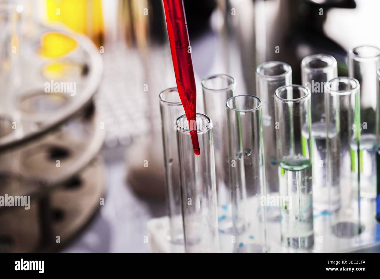 Scientist shows a diffusion in the Petri dish Stock Photo