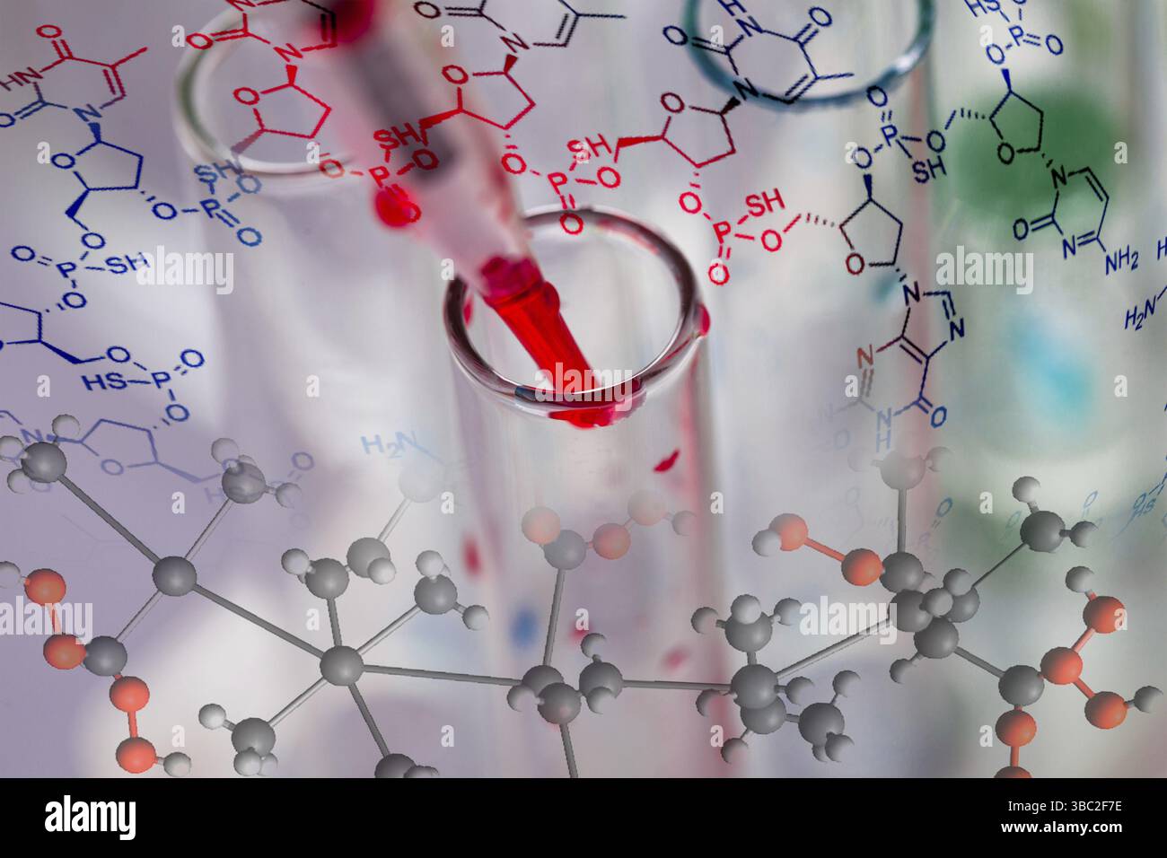 Scientist shows a diffusion in the Petri dish Stock Photo