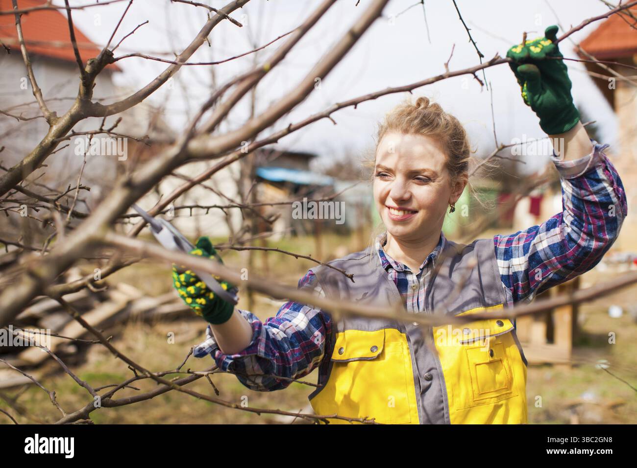 Woman gardener pruning fruit trees with pruning shears. Young woman taking care of garden in early spring Stock Photo