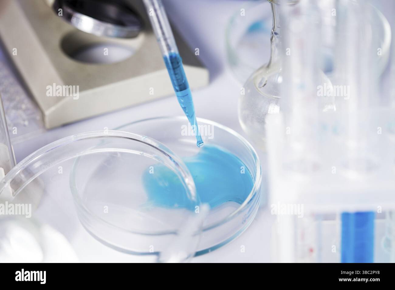 Scientist shows a diffusion in the Petri dish Stock Photo