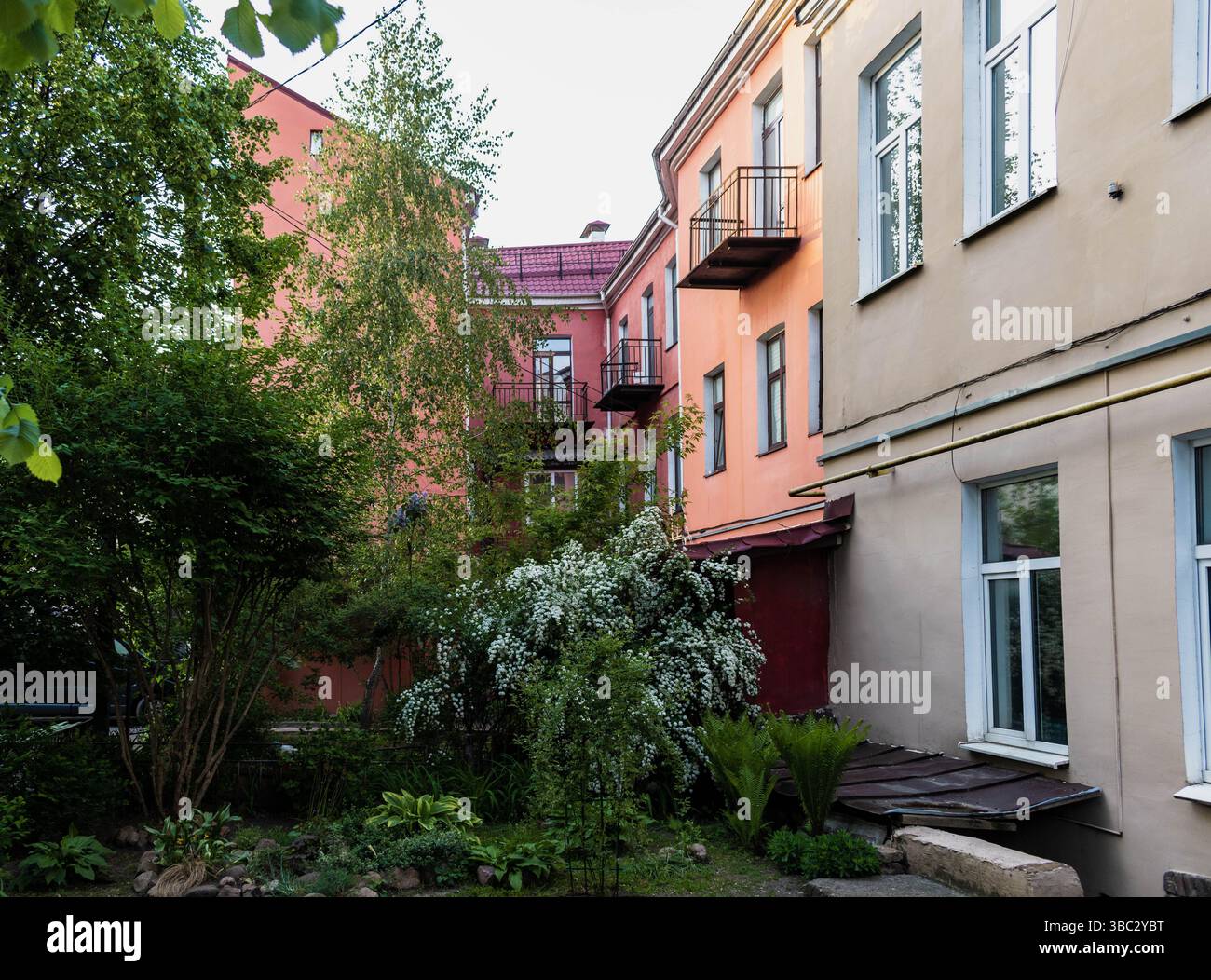 Courtyard garden green wall hi-res stock photography and images - Alamy