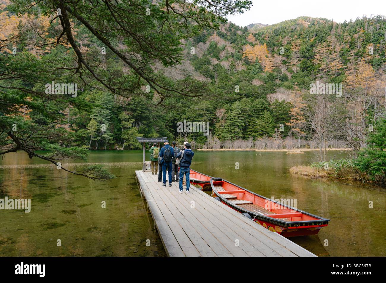 Yalangoch qizlar soginib