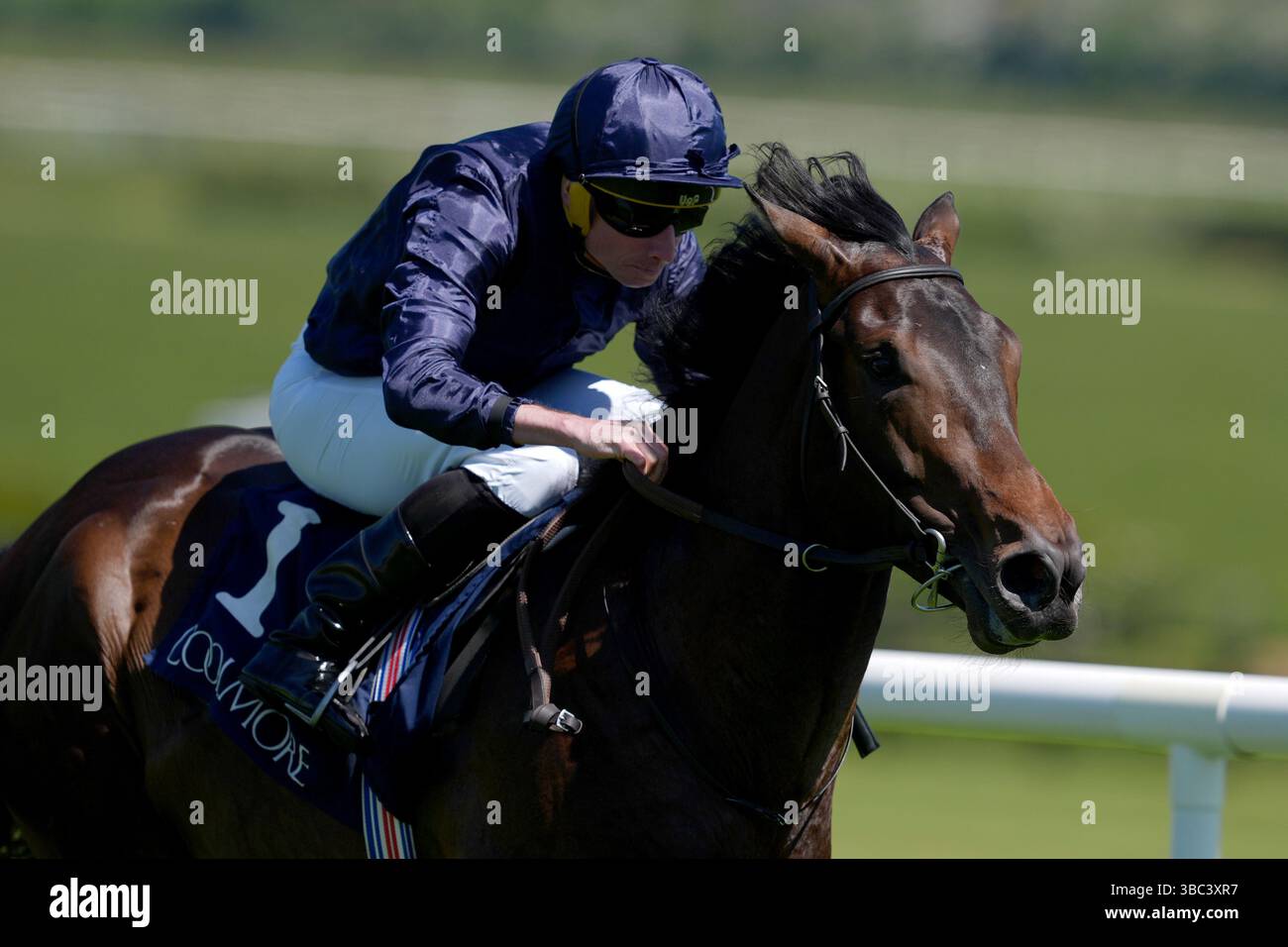 Charles Darwin ridden by jockey Ryan Moore on their way to winning the ...
