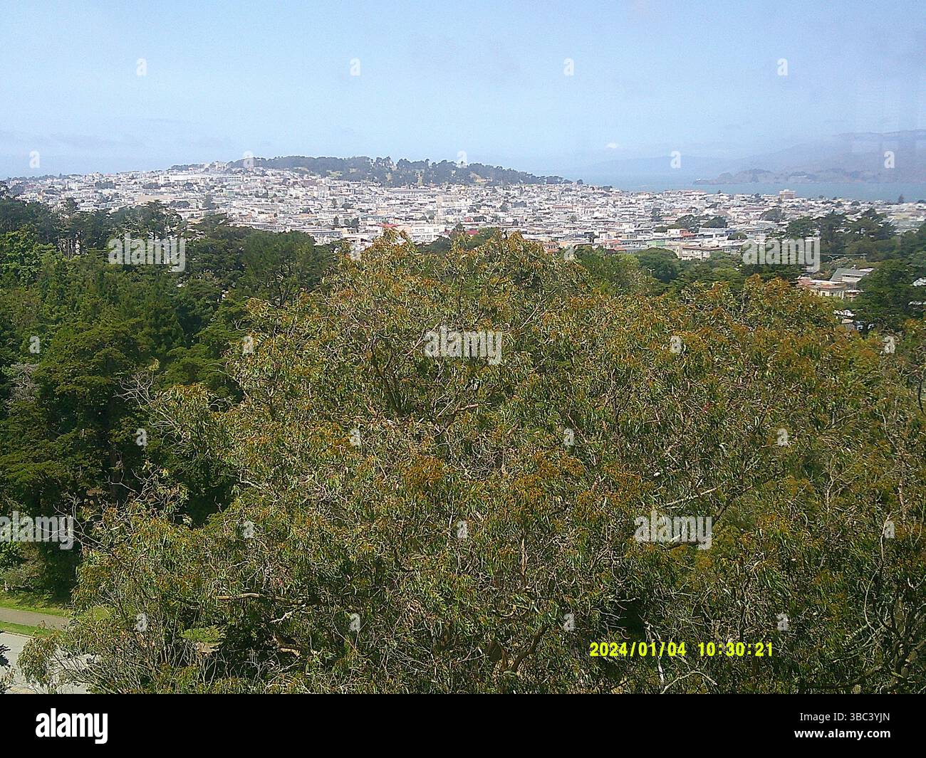 San Francisco de Young Museum - Stock Image