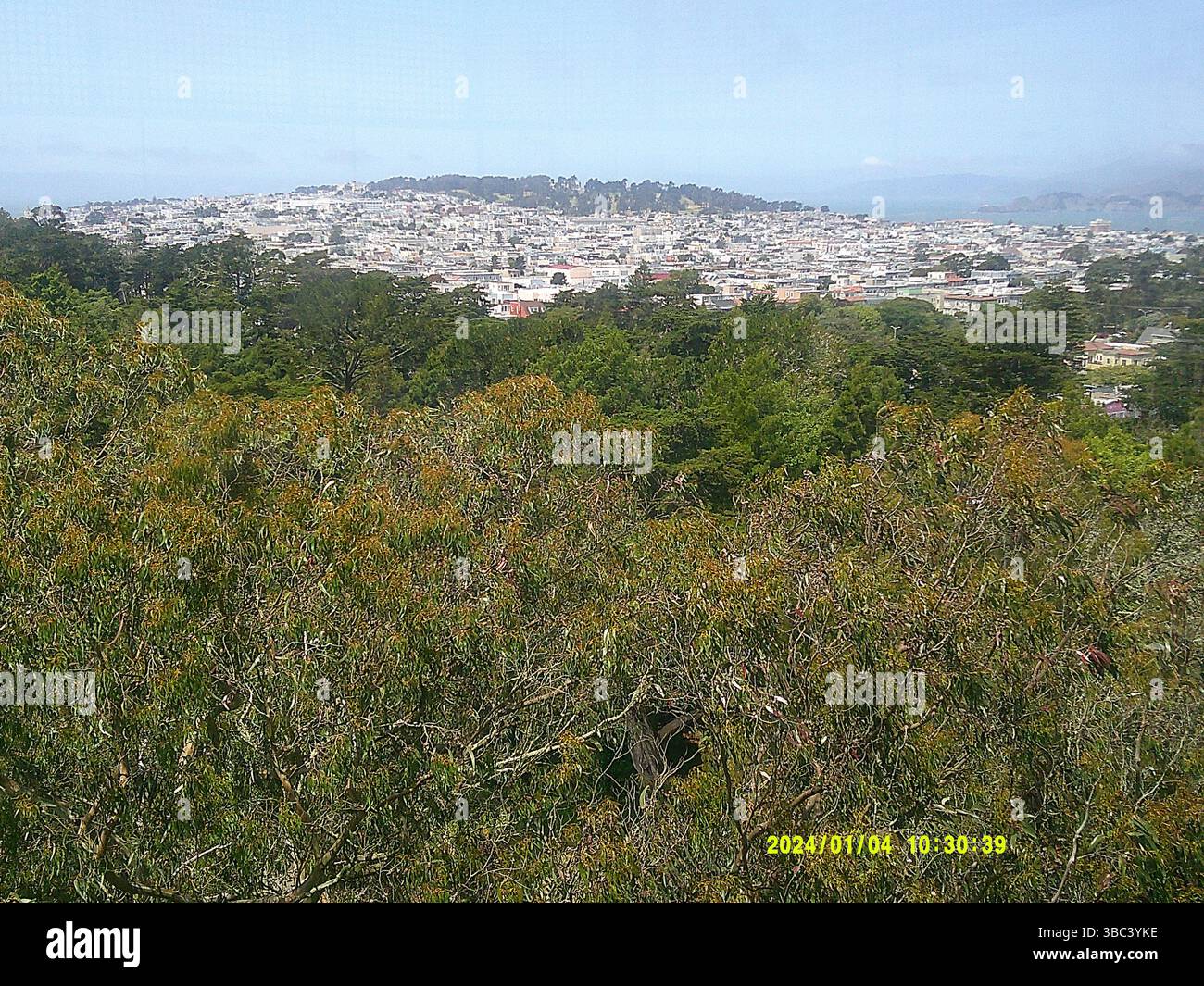 San Francisco de Young Museum - Stock Image