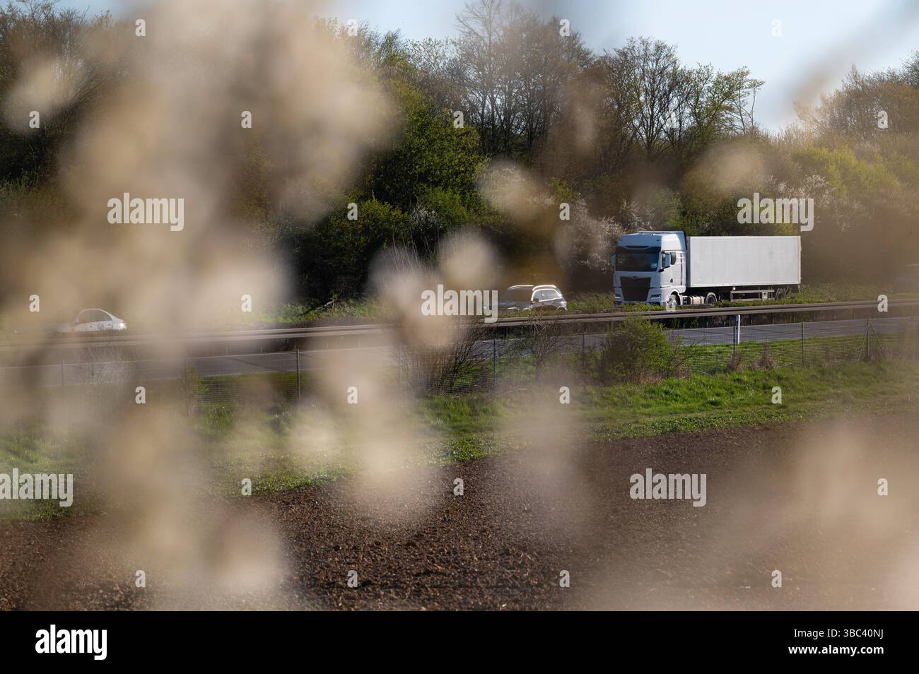 Heavy lorry truck with trailer drives on a freeway or highway Stock ...