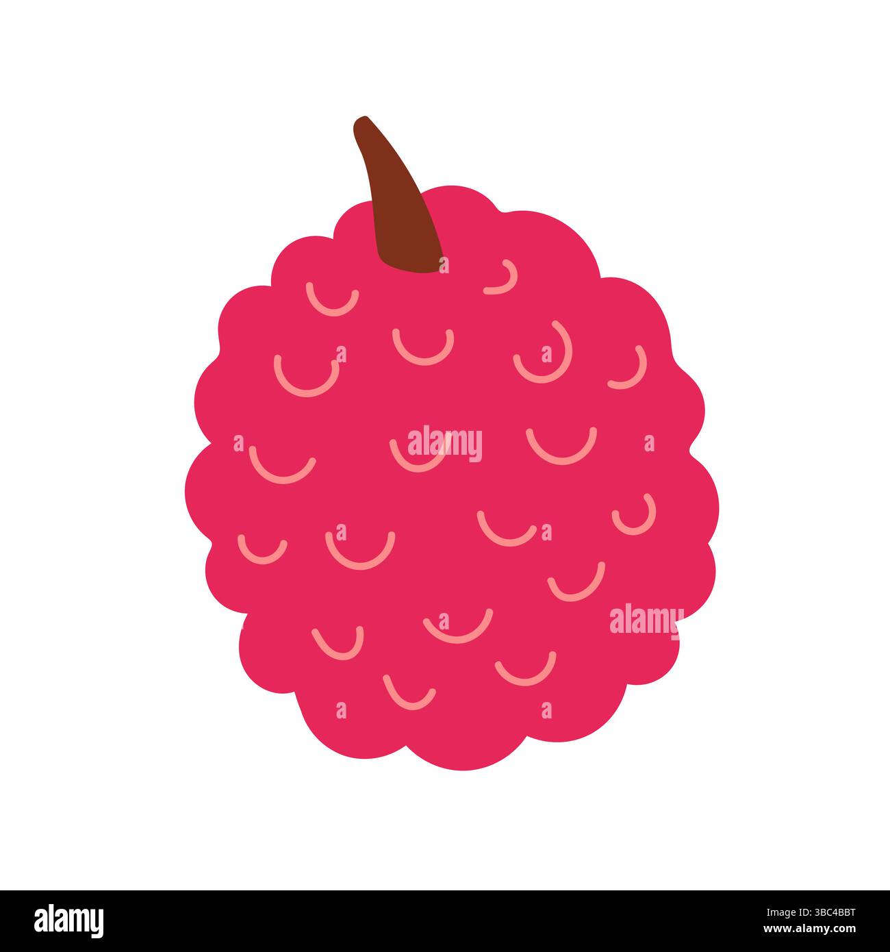 Lychee fruit hand drawn vector illustration Stock Vector Image & Art ...