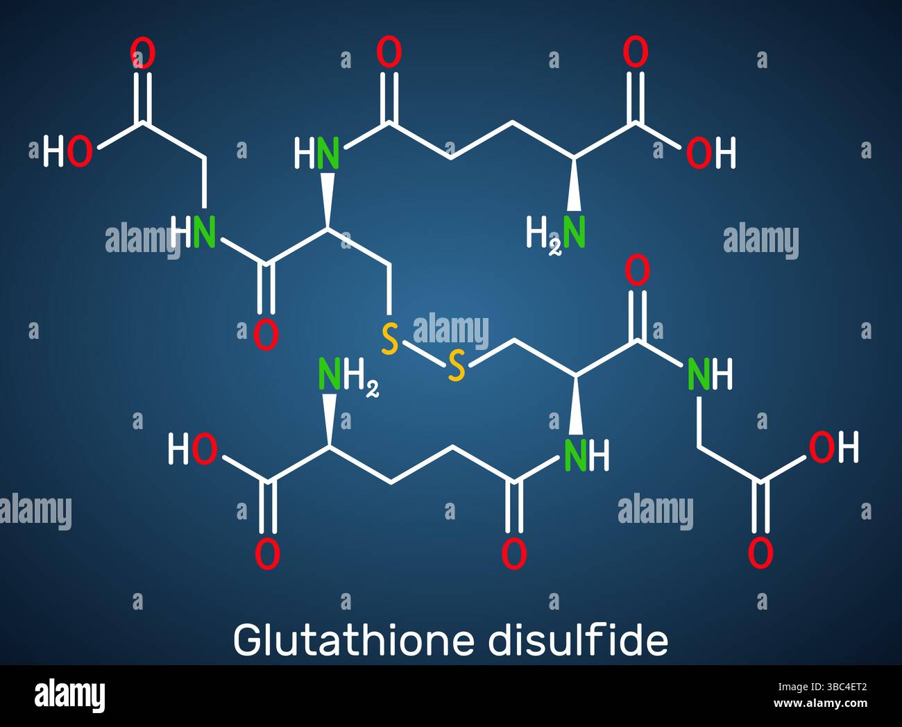 glutathione peroxidase chemical structure Himalayan organics Vlado's Himalayan Organics Glutathione Builder With  Vitamin C,E,B6 & Curcumin,Antioxidant Support for Anti-Ageing,Youthful &  Brightening Skin | Good For Men And Women - 60 Veg Tablets main image 1