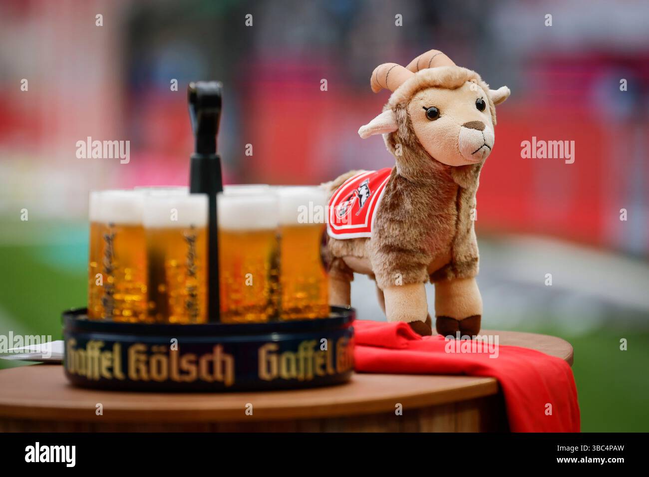 Gibt es f?r den FC etwas zu feiern? Ein K?lsch-Kranz neben einer Gei?bock Pl?sch-Figur; 34. Spieltag der 2. Fu?ball-Bundesliga, 1. Fu?ball-Bundesliga, 1. FC K?ln - 1. FC Kaiserslautern am 18.05.2025 im RheinEnergie-Stadion in K?ln. DIE DFL-VORSCHRIFTEN VERBIETEN JEDE VERWENDUNG VON FOTOS ALS BILDSEQUENZEN UND/ODER QUASI-VIDEO. Stock Photo