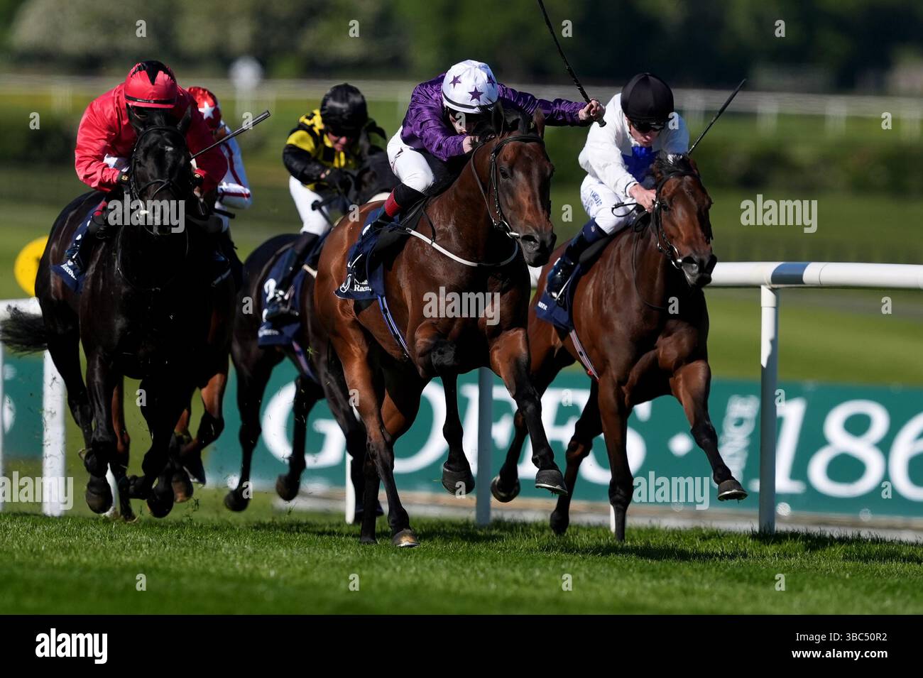 Sole Power Sprint Stakes Thoroughbreds The Economic and Breeding Implications