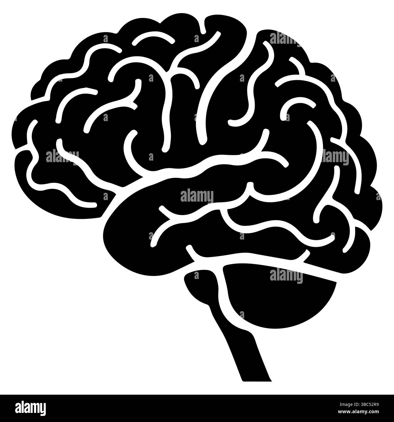 Human brain silhouette simple illustration on white background Stock ...