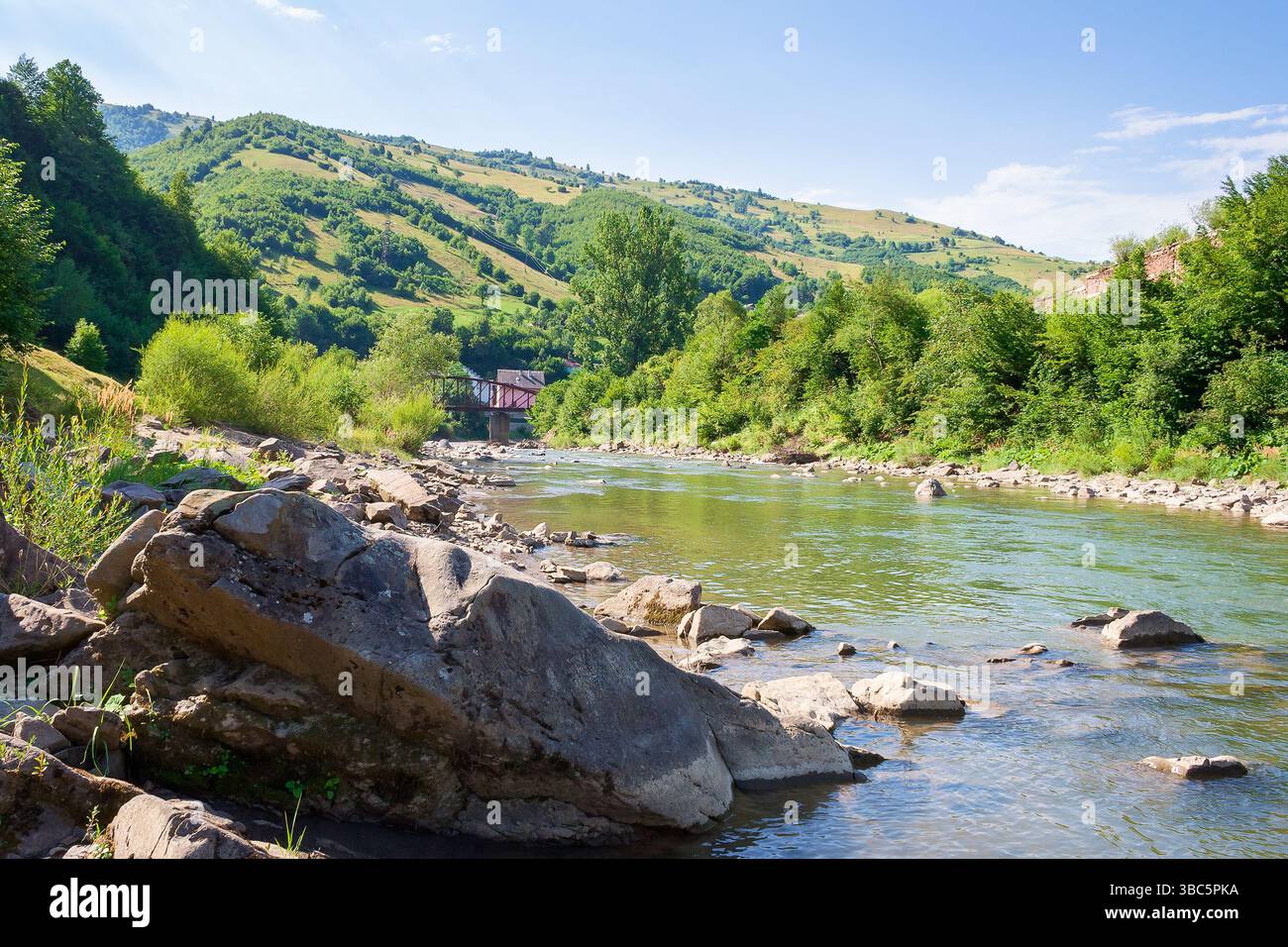 river flows through the valley in carpathian mountains. vacation season. shallow water reveals stones. beautiful landscape in summer on an sunny morni Stock Photo