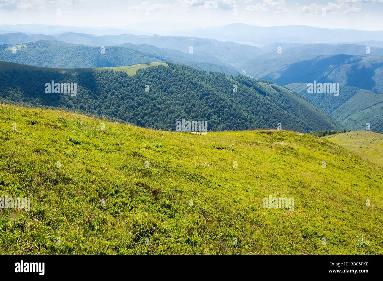 rolling scenery with grassy alpine meadow. vacation season. scenic carpathian mountain landscape of borzhava ridge. popular travel destination of ukra Stock Photo