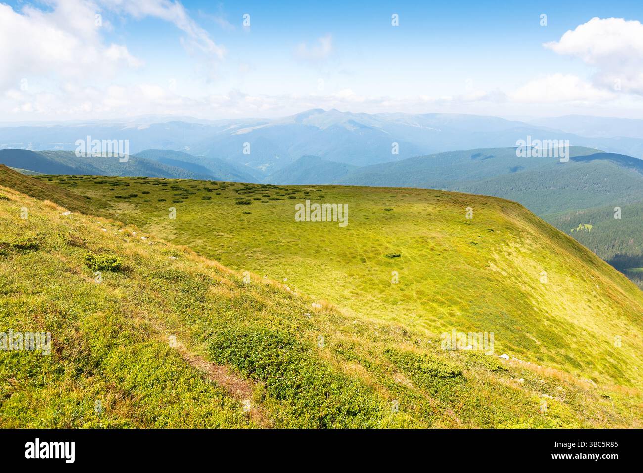 scenic view in to the valley. cumulus clouds above horizon. beautiful landscape of carpathian mountains on a bright forenoon in summer. grassy slopes Stock Photo