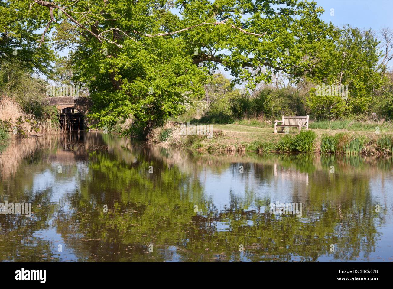 Wey south path at Drungewick lock at the end of the line on the Wey and Arun canal, Loxwood, Billingshurst, West Sussex, England Stock Photo