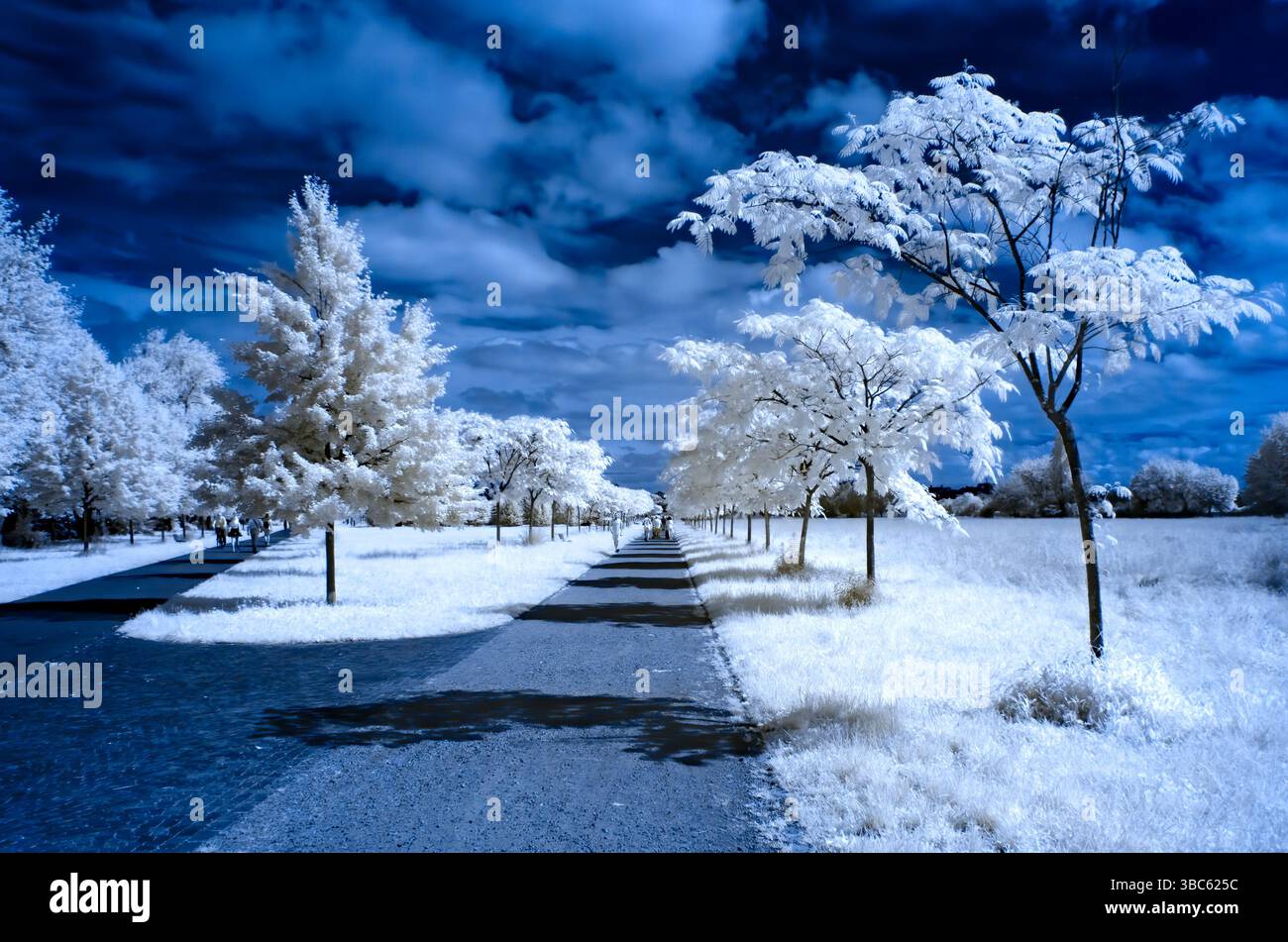 Color Infrared Landscape Infrared color hi-res stock photography and images - Alamy