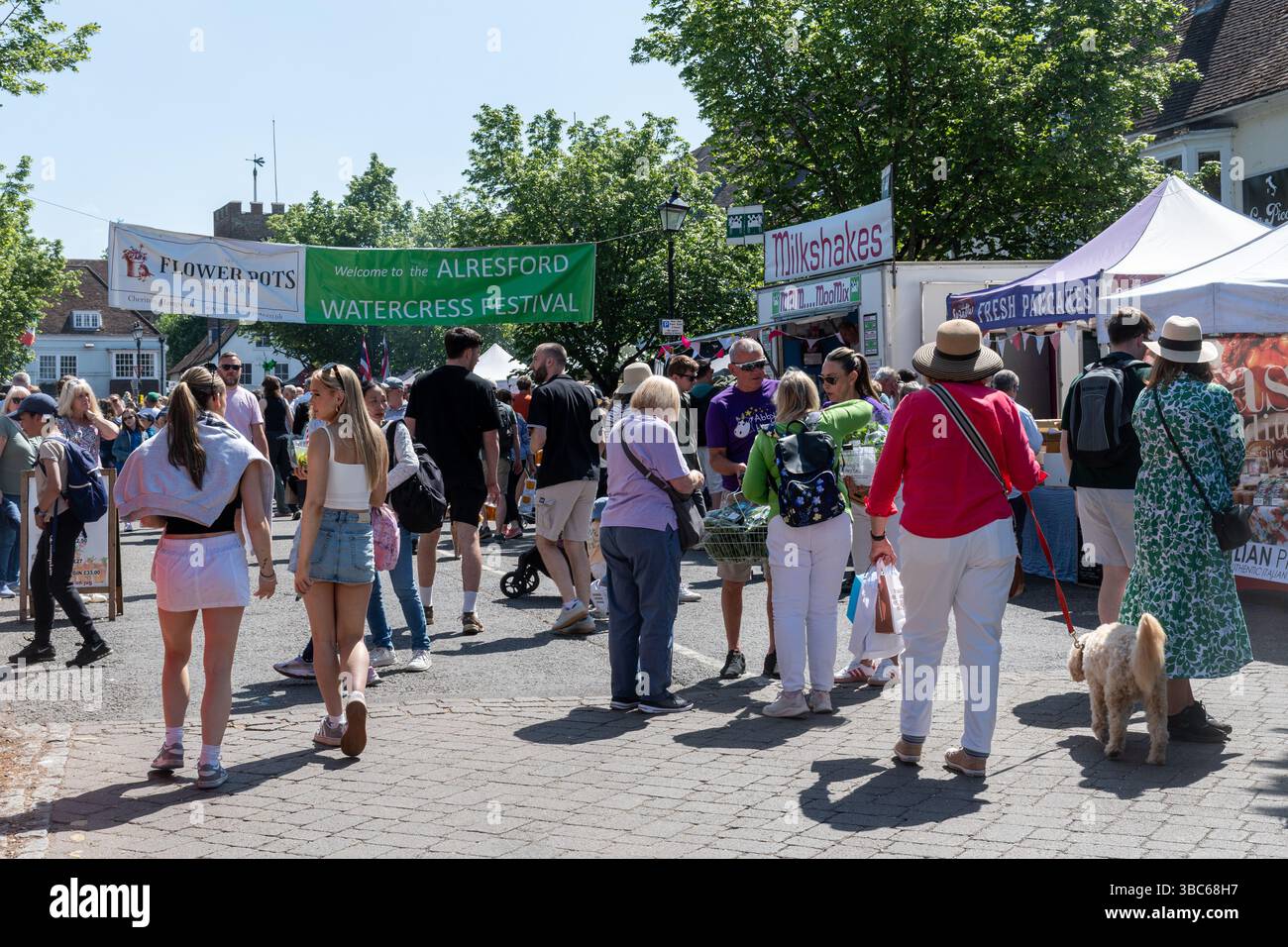 Alresford Watercress Festival, an annual event in Hampshire, England, UK, 18th May 2025. People looking at the stalls Stock Photo