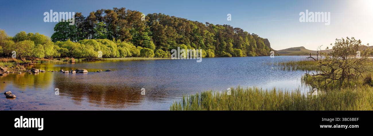 A clear sunny evening view in late Spring on Hadrian's Wall in ...