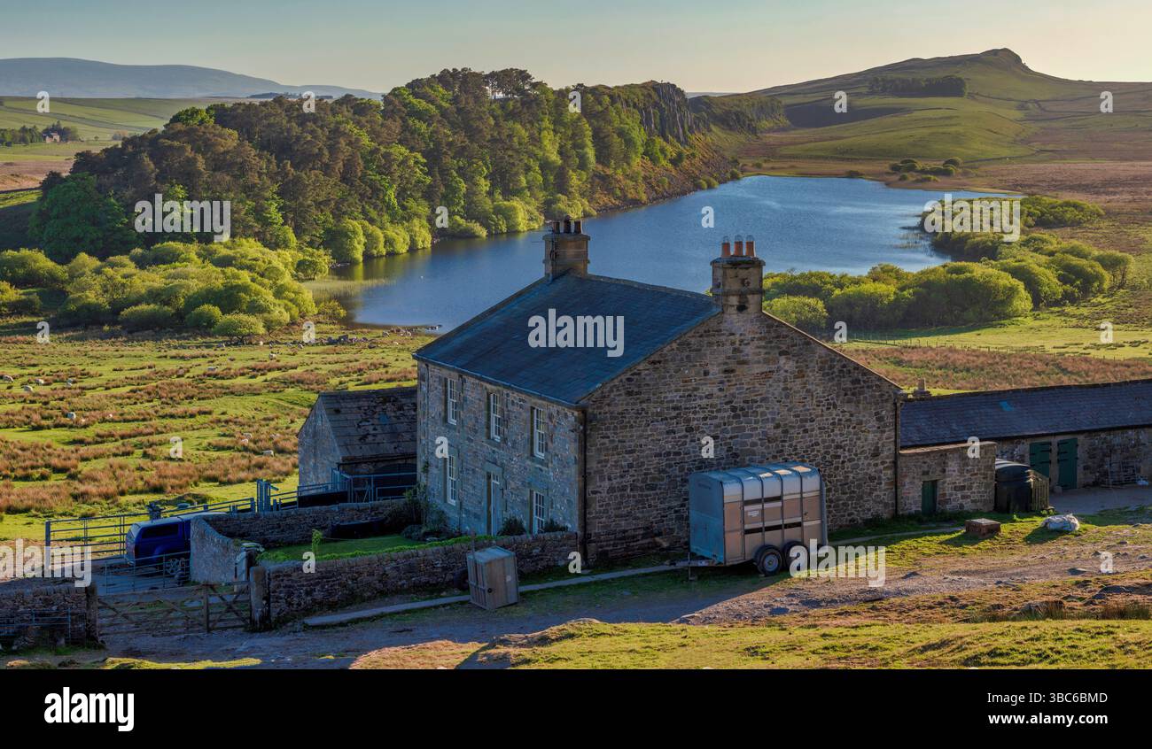 A clear sunny evening view in late Spring on Hadrian's Wall in ...