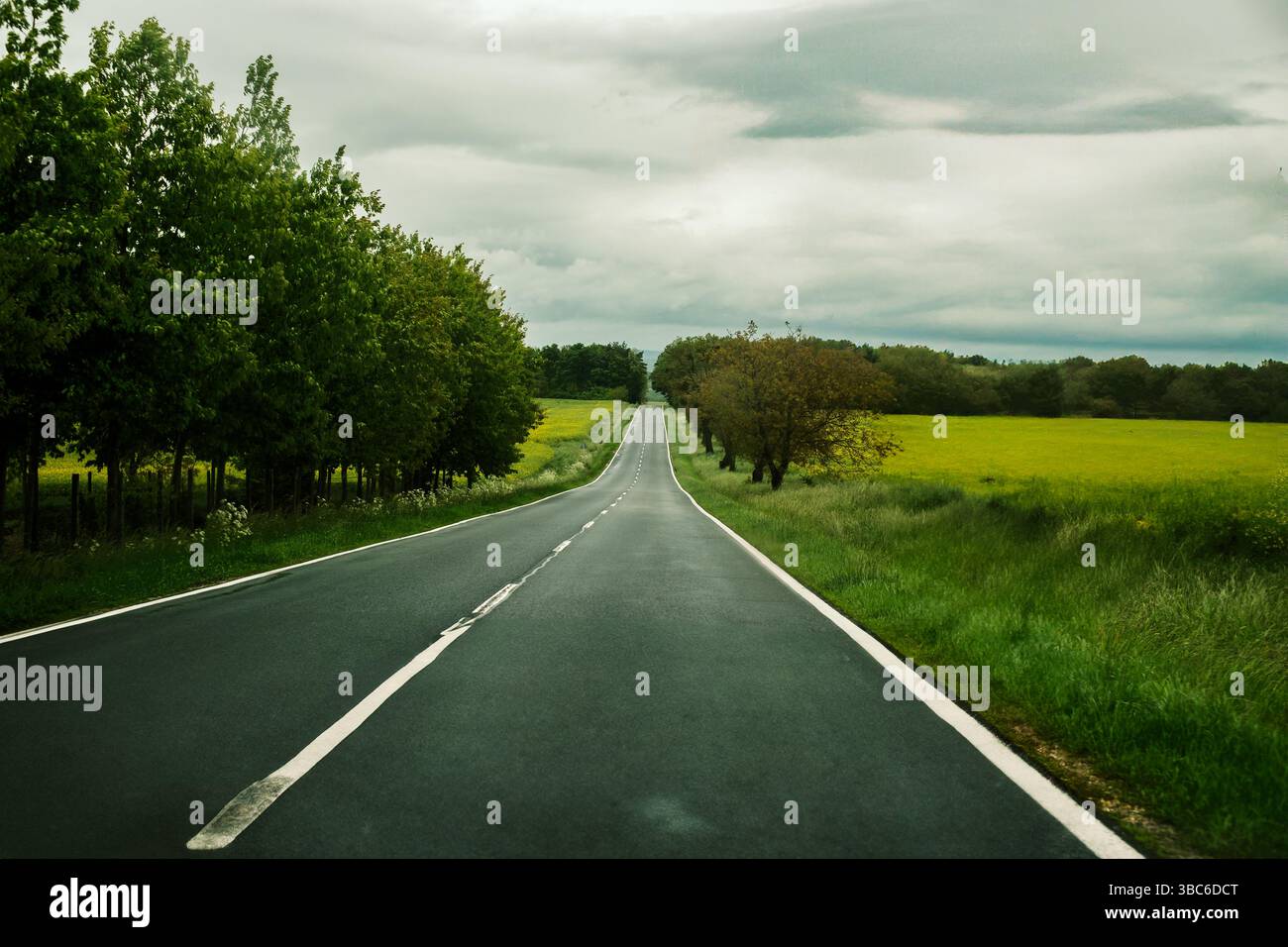 Road between forest field hi-res stock photography and images - Alamy Road between forest field hi-res stock photography and images - Alamy