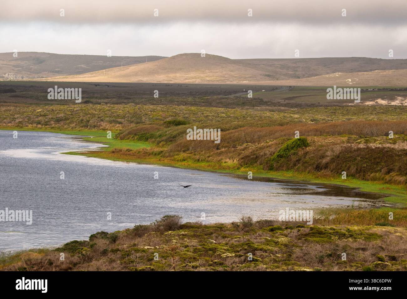 For the first time in 150 years, Point Reyes will be almost empty of ...