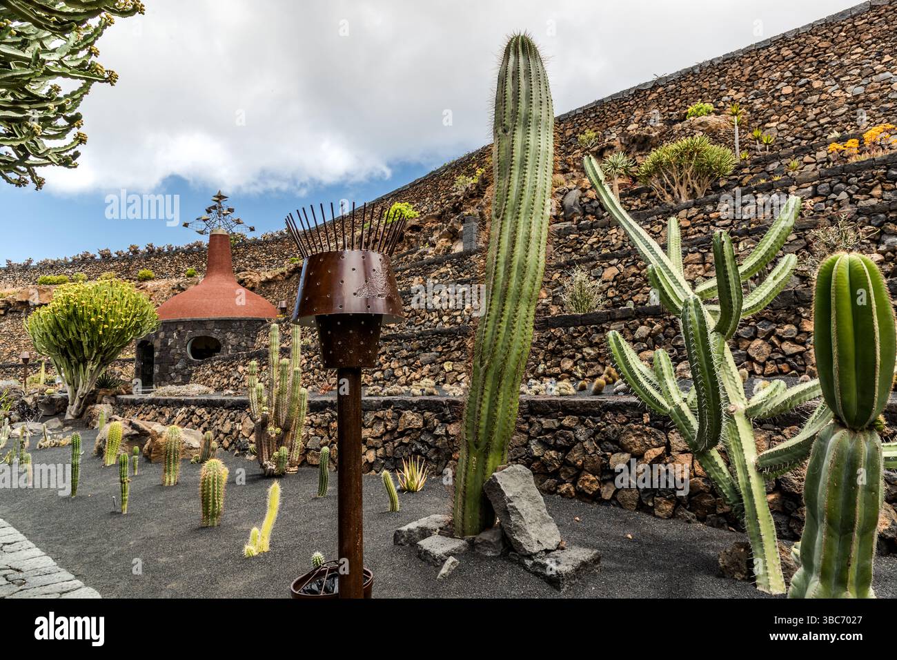 The El Jardn de Cactus cactus garden on Lanzarote is home to around 4,500  species of cacti from five continents. It was designed by Csar Manrique  and is laid out in a