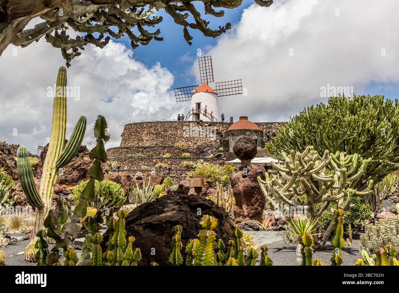 The El Jardn de Cactus cactus garden on Lanzarote is home to around 4,500  species of cacti from five continents. It was designed by Csar Manrique  and is laid out in a