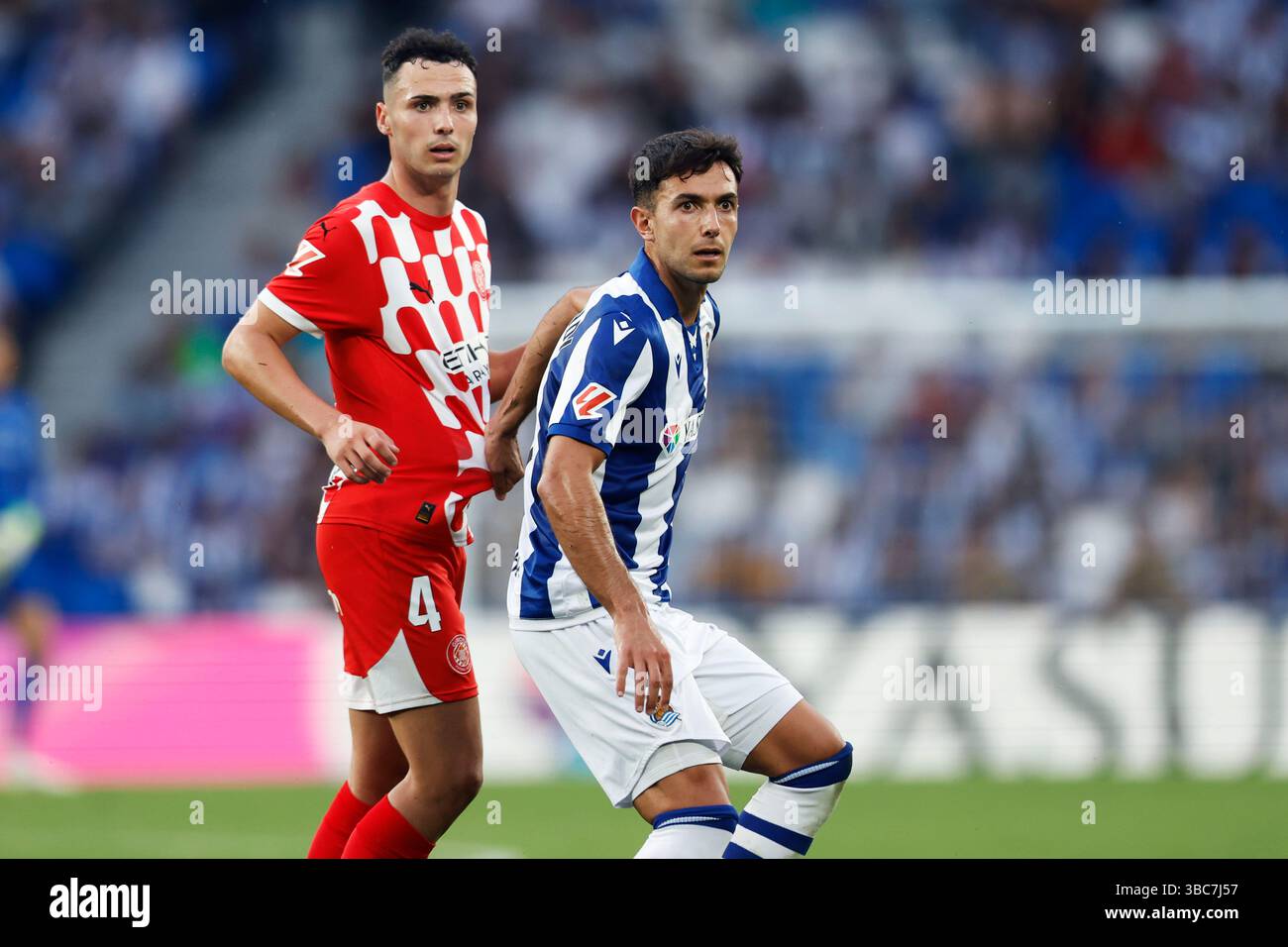 Molina Dual Options Medicare-Medicaid Plan, image size:1300x956