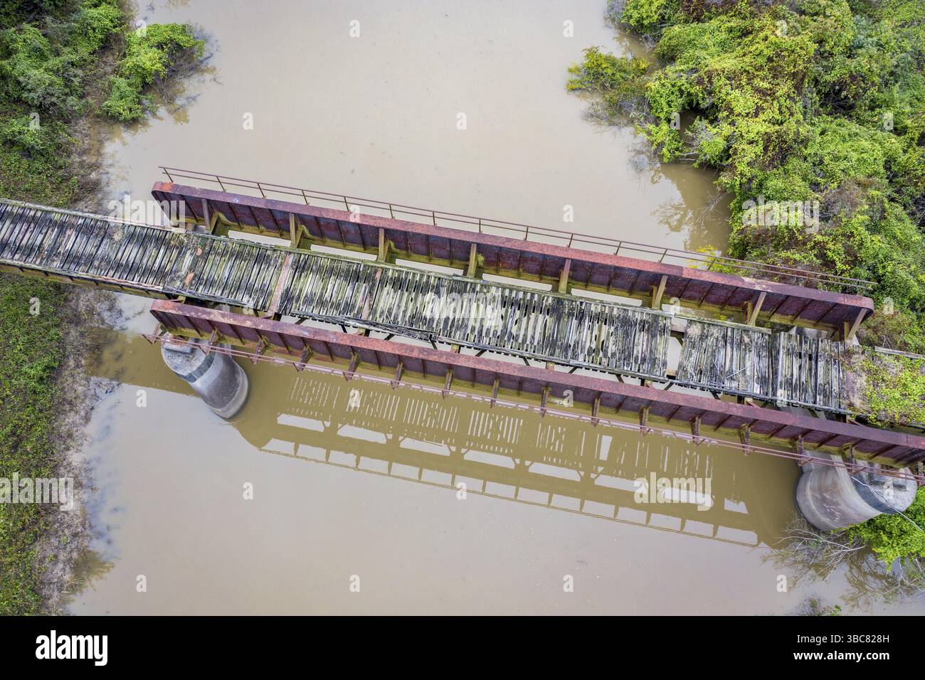 Trestle of abandoned railway across Cache River in Illinois above ...