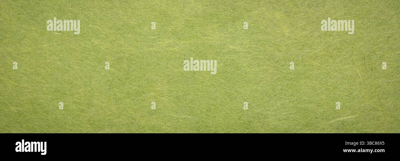 Background and texture of moss green Korean hanji paper handmade from inner bark of the mulberry tree Stock Photo