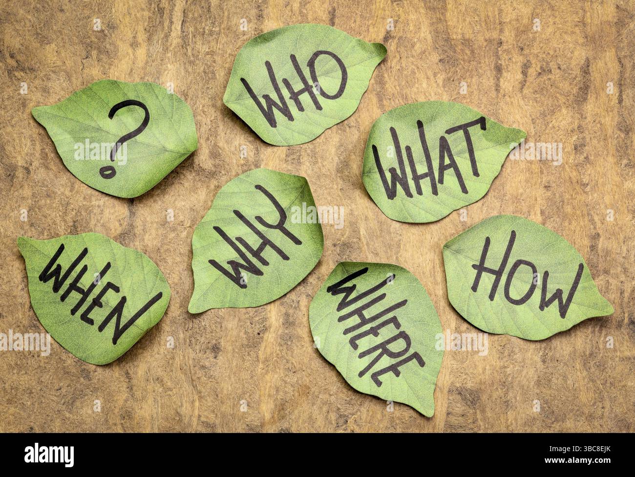 Brainstorming or decision making questions - handwriting on leaf shaped ...