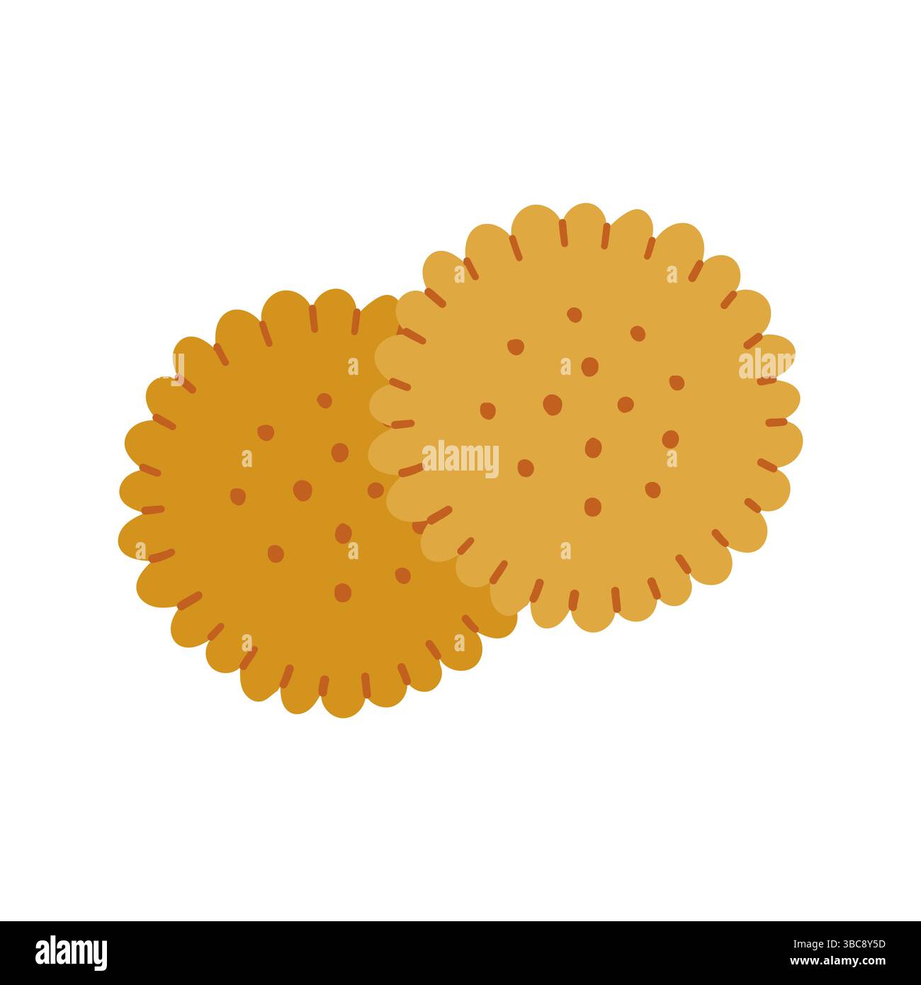Two round Crackers, Flat Bakery Illustration Stock Vector