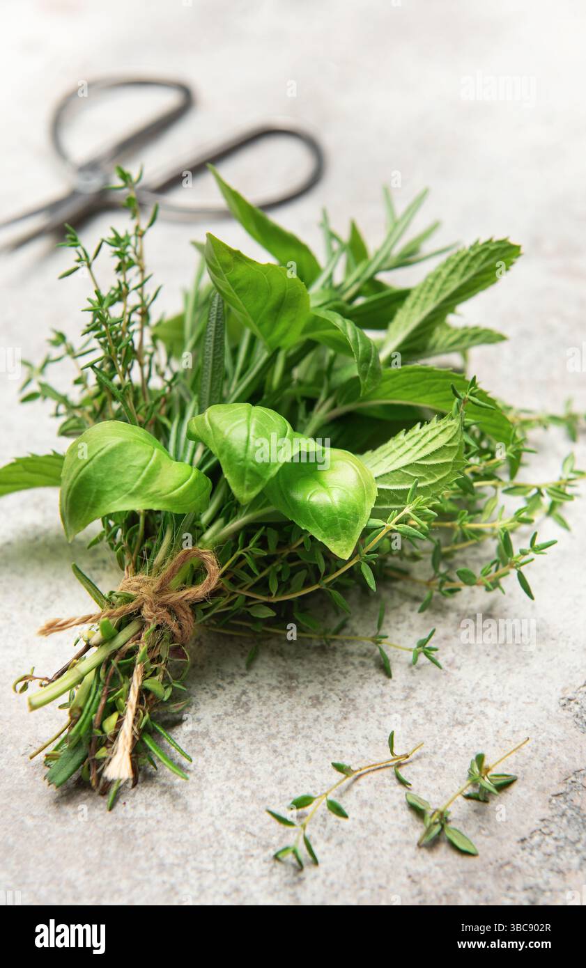 Freshly cut herbs including basil, mint, rosemary, and thyme tied together with twine laying on a gray table next to scissors Stock Photo