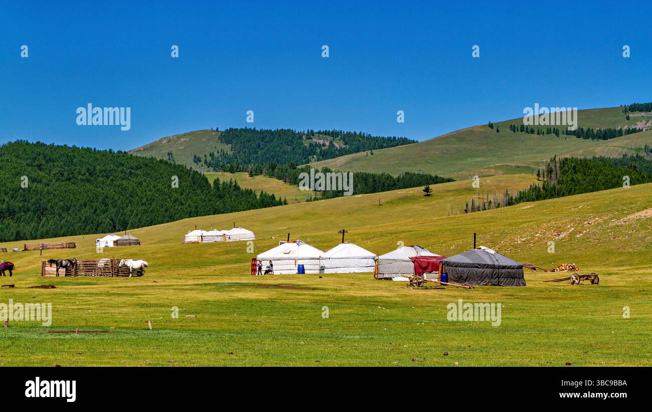 Mongolian Yurt and Camp of nomadic people Stock Photo - Alamy