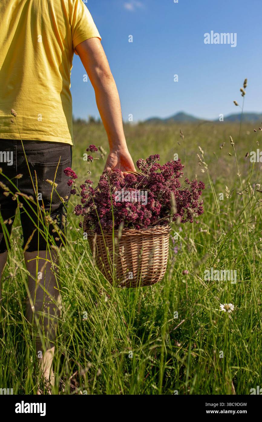 Man walks in field tall hi-res stock photography and images - Alamy