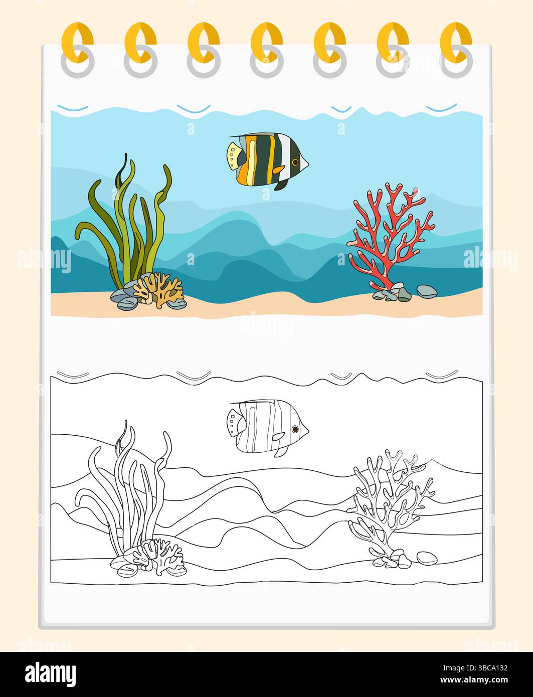 Coloring book Vector Illustration Fish Seaweed Coral reef stone plant ...