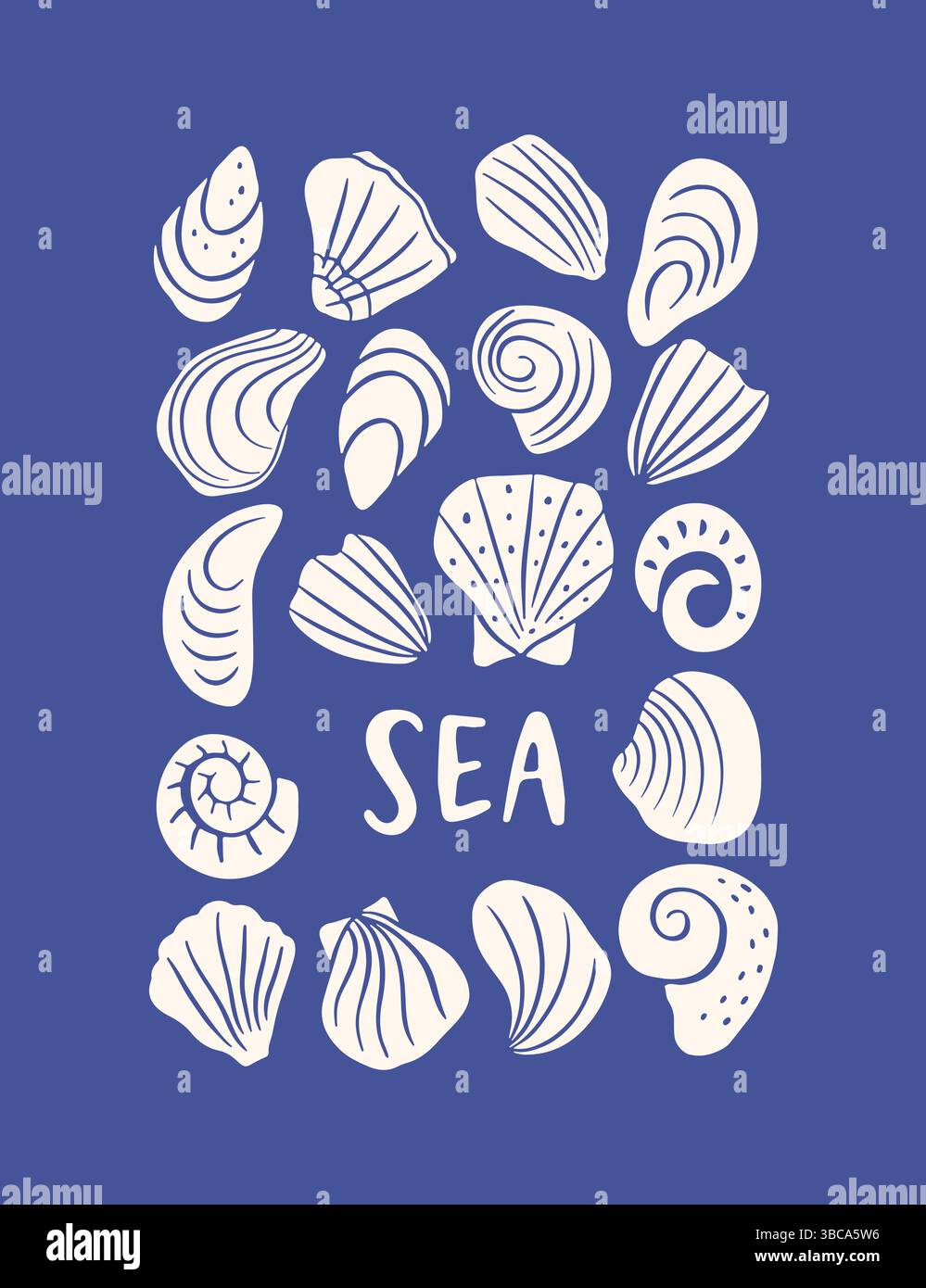 Hand drawn seashell poster Stock Vector Image & Art - Alamy