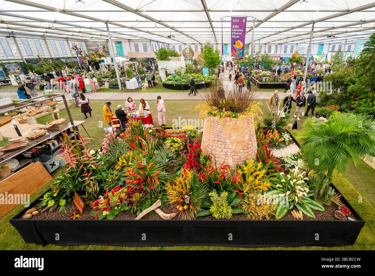 Stephen Colfer Rhs Chelsea press day 2025 hi-res stock photography and images - Alamy