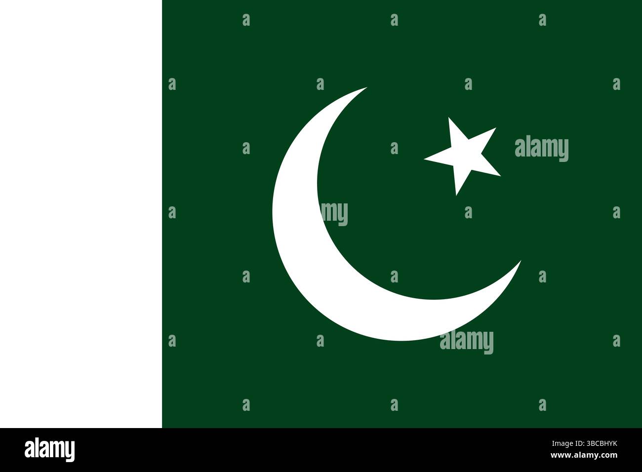Pakistan nationall official flag background Stock Vector