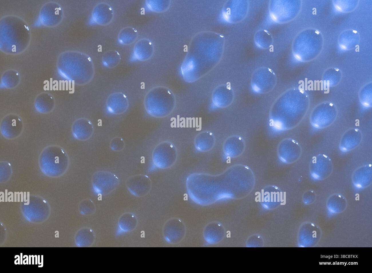 Water drops side lit and glowing blue Stock Photo