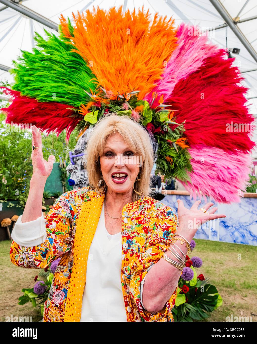 Painted Rhs London, UK. 19th May, 2025. Joanna Lumley visits the Giant Punk by ...