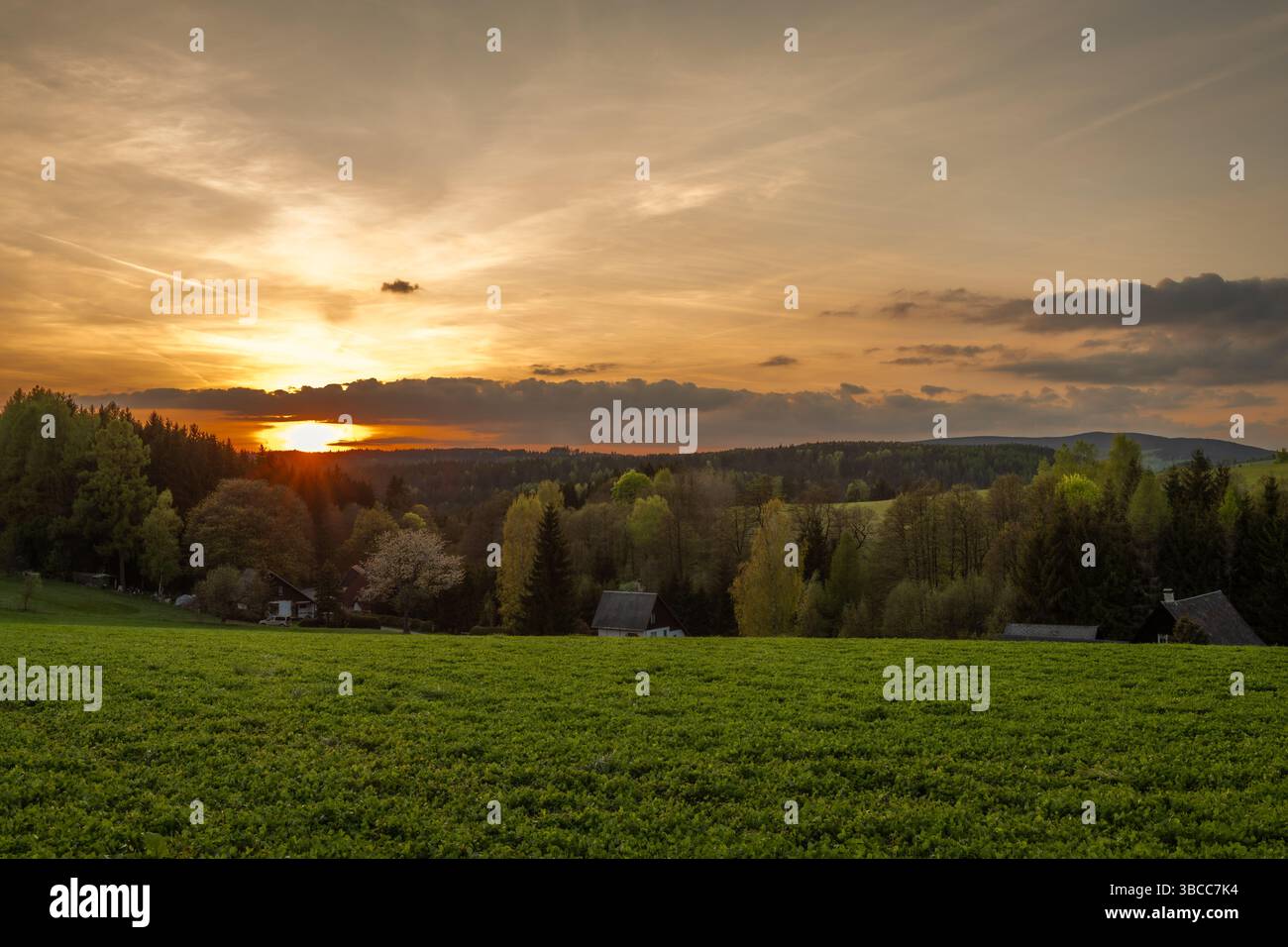 Color spring view in Orlicke mountains with green fresh forests and meadows in sunny evening near Cihak CZ 04 30 2025 Stock Photo