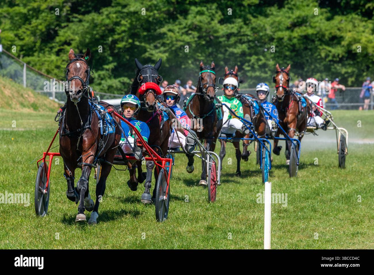 Harness Racing at Ballabuidhe Race Course, Dunmanway, West Cork, Ireland. Stock Photo