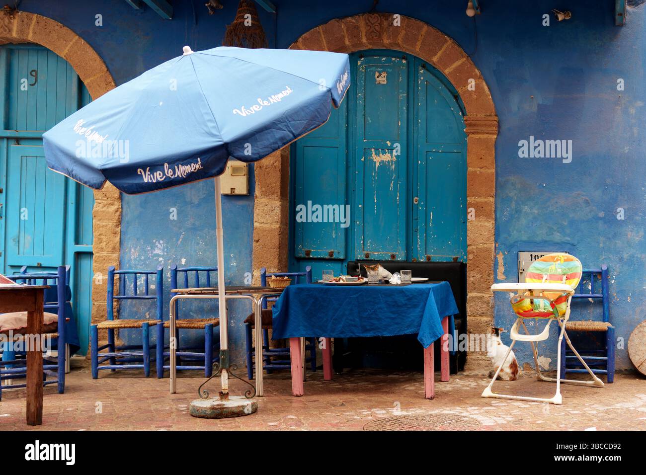 Stray cats eat leftovers at a street café in Essaouira’s medina, surrounded by typical Moroccan blue colors. Stock Photo