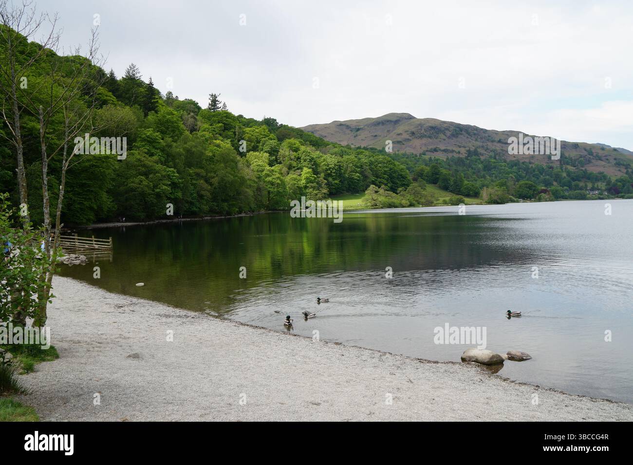 Views over Grasmere Lake, Cumbria, UK Stock Photo